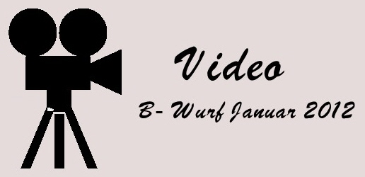 Video B Wurf